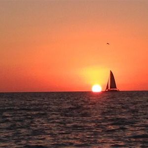 Meet your Posher, Misty